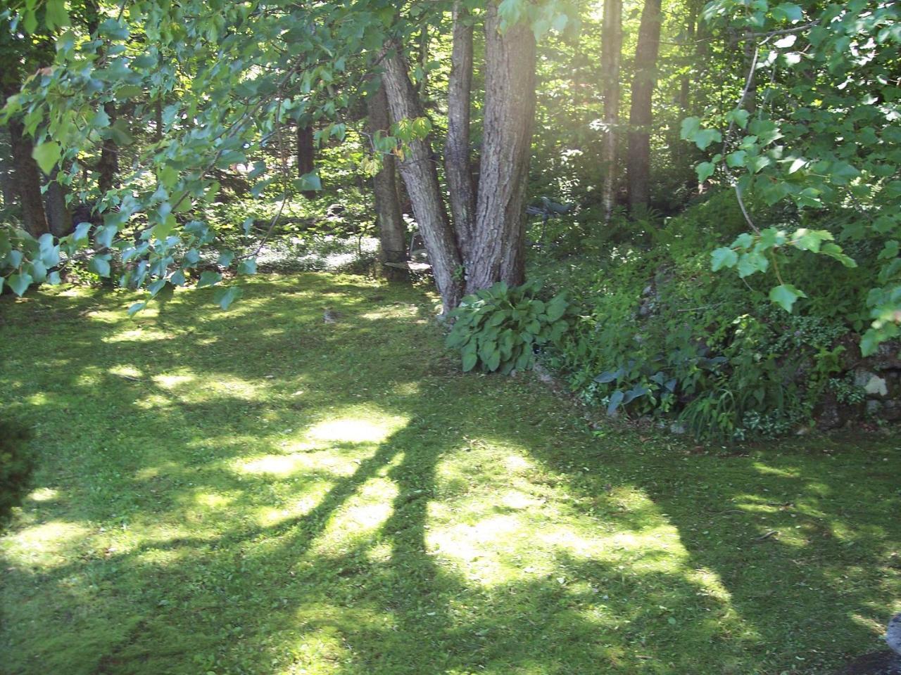 Hummingbird Hill Panzió Stoddard Kültér fotó